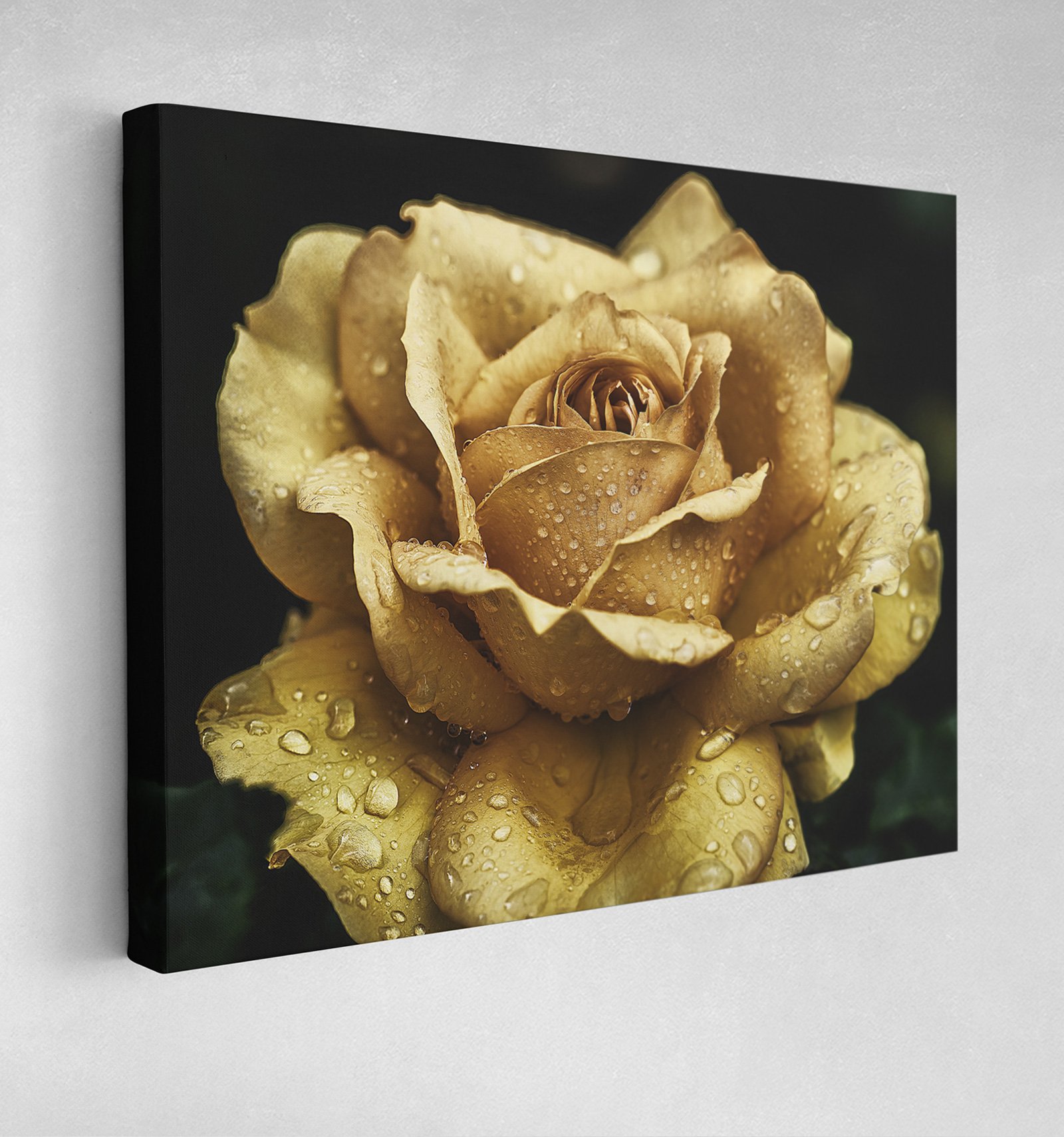 FLOWERGOLDREGULARwebpost